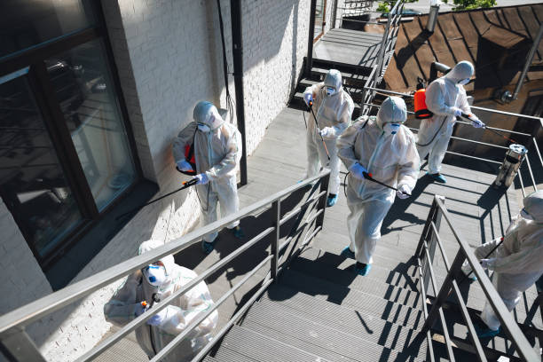 Trusted Buffalo Center, IA Mold Removal Experts