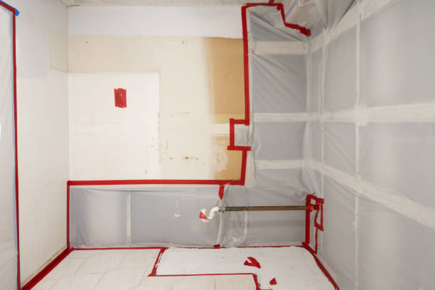 Best Mold Documentation for Insurance Claims  in Buffalo Center, IA