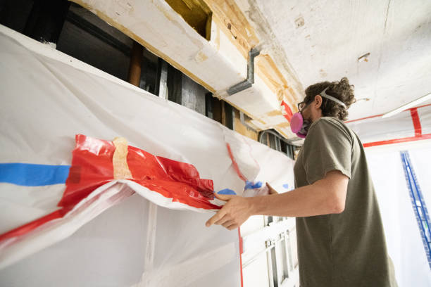 Best Water Damage & Mold Remediation  in Buffalo Center, IA