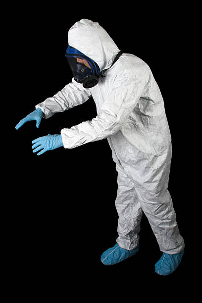 Best Attic Mold Removal  in Buffalo Center, IA